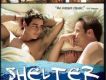 欲蓋弄潮 Shelter