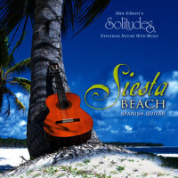Siesta Beach專輯_Dan Gibson's SolSiesta Beach最新專輯