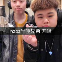 老二道（半噸兄弟）圖片照片_照片寫真