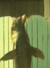 萌娃看動物最新一期線上看_全集完整版高清線上看_好看的綜藝