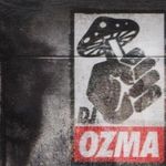 SINGLE COLLECTION 20專輯_DJ OZMASINGLE COLLECTION 20最新專輯