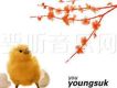 Yoo Young Seok歌曲歌詞大全_Yoo Young Seok最新歌曲歌詞
