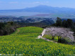 山野圖片照片_山野