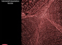 Mickey Baker最新歌曲_最熱專輯MV_圖片照片