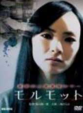 最新2012日本電影_2012日本電影大全/排行榜_好看的電影