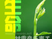 生命