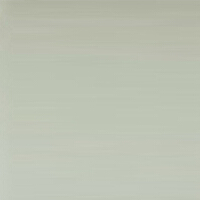 羅秉洲圖片照片_羅秉洲