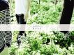 1輯 - Road