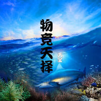 天寶圖片照片_照片寫真