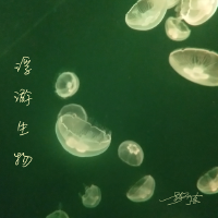 彭開凌歌曲歌詞大全_彭開凌最新歌曲歌詞