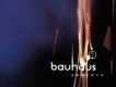 Bauhaus歌曲歌詞大全_Bauhaus最新歌曲歌詞