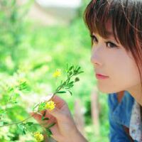 東籬 清漪圖片照片_照片寫真