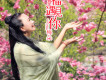 梅朵歌曲歌詞大全_梅朵最新歌曲歌詞