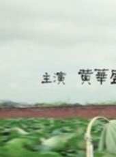宋在河演過的電影電視劇線上看_影視作品大全_好看的明星