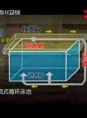 萬萬沒想到最新一期線上看_全集完整版高清線上看_好看的綜藝