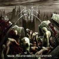 Necrotorture圖片照片_Necrotorture