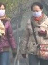遼寧新聞最新一期線上看_全集完整版高清線上看 - 蟲蟲綜藝