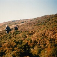 Wool Strings圖片照片_Wool Strings