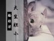 天生膽小