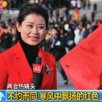 兩會報導圖片照片_兩會報導