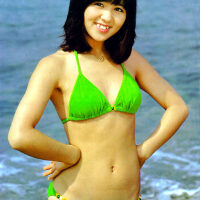 石野真子圖片照片_石野真子