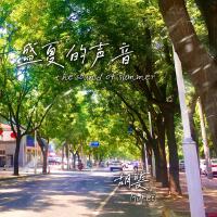 盛夏的聲音