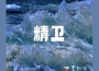 精衛專輯_黑加倫精衛最新專輯