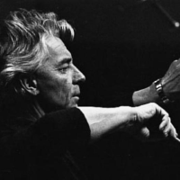 Karajan圖片照片_Karajan