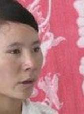 遼寧新聞最新一期線上看_全集完整版高清線上看 - 蟲蟲綜藝
