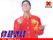 楓橋歌曲歌詞大全_楓橋最新歌曲歌詞