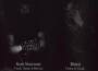 Opus II - Innerspectrum專輯_Thy Winter KingdomOpus II - Innerspectrum最新專輯