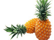 Pineapple圖片照片