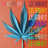 正嗨時