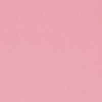 Kirby's Dream Band個人資料介紹_個人檔案(生日/星座/歌曲/專輯/MV作品)