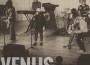 Venus最新歌曲_最熱專輯MV_圖片照片
