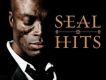Hits (Deluxe Edition專輯_SealHits (Deluxe Edition最新專輯
