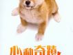 心動奇蹟 瑪麗和三隻小狗的故事