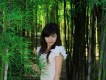 小齊圖片照片