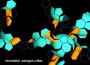 Polygon_Cities專輯_MonolakePolygon_Cities最新專輯