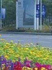 遼寧新聞最新一期線上看_全集完整版高清線上看 - 蟲蟲綜藝