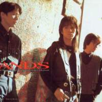 WANDS圖片照片_WANDS