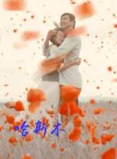 最新2012其它電影_2012其它電影大全/排行榜_好看的電影