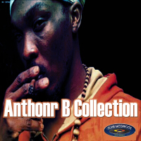 Anthony B Collection