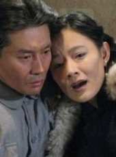 秦海璐演過的電影電視劇線上看_影視作品大全_好看的明星