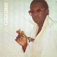 Sylvester圖片照片_Sylvester