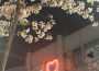 Lost in reverie（Beat）專輯_ZyLost in reverie（Beat）最新專輯