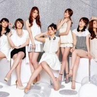 predia圖片照片_predia