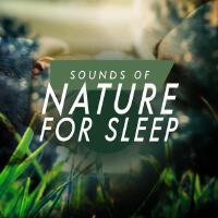 Sounds Of Nature個人資料介紹_個人檔案(生日/星座/歌曲/專輯/MV作品)