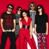 New Young Pony Club圖片照片