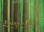Emerald Forest: A Celtic Sanctuary專輯_Dan Gibson's SolEmerald Forest: A Celtic Sanctuary最新專輯